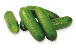 Pepino Mini Pepino Mini