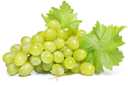 Uvas Uvas